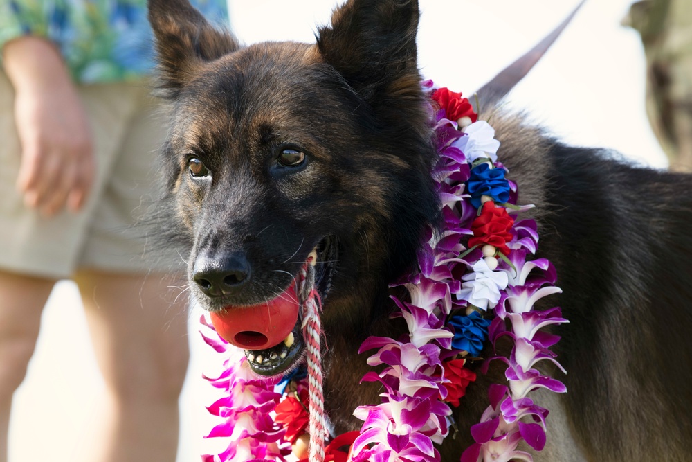 JBPHH MWDs Chewy and Zeus celebrate retirement