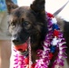 JBPHH MWDs Chewy and Zeus celebrate retirement