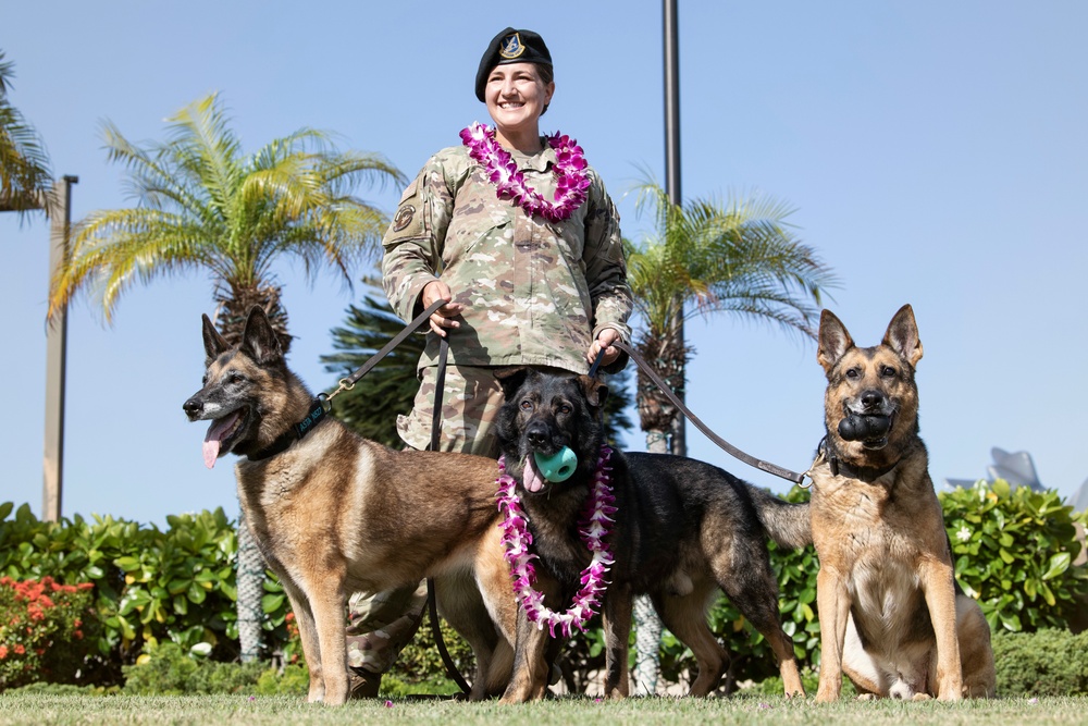 JBPHH MWDs Chewy and Zeus celebrate retirement