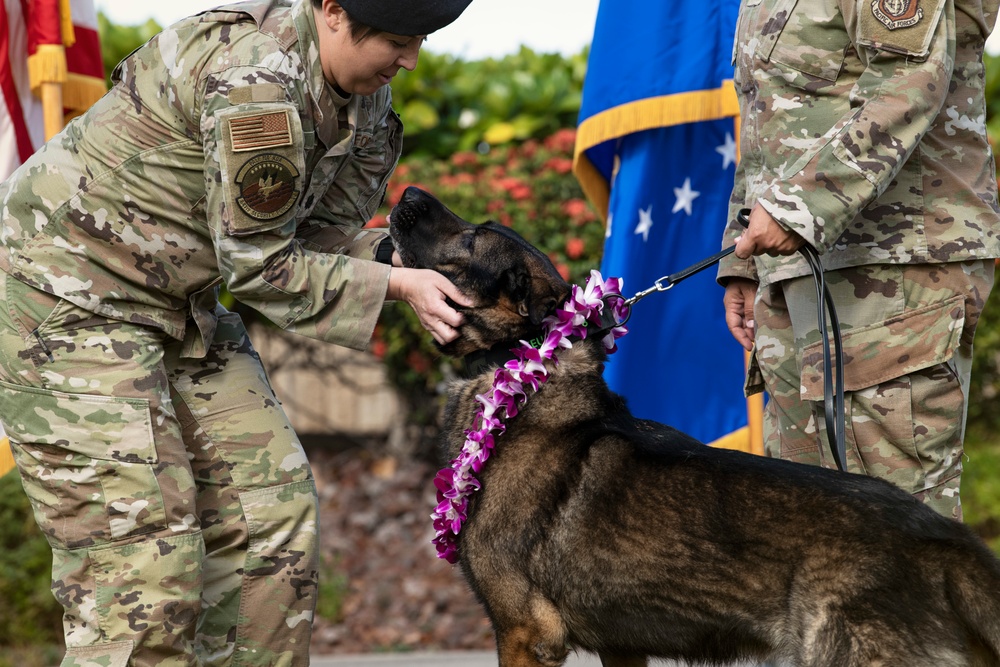 JBPHH MWDs Chewy and Zeus celebrate retirement