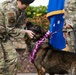 JBPHH MWDs Chewy and Zeus celebrate retirement