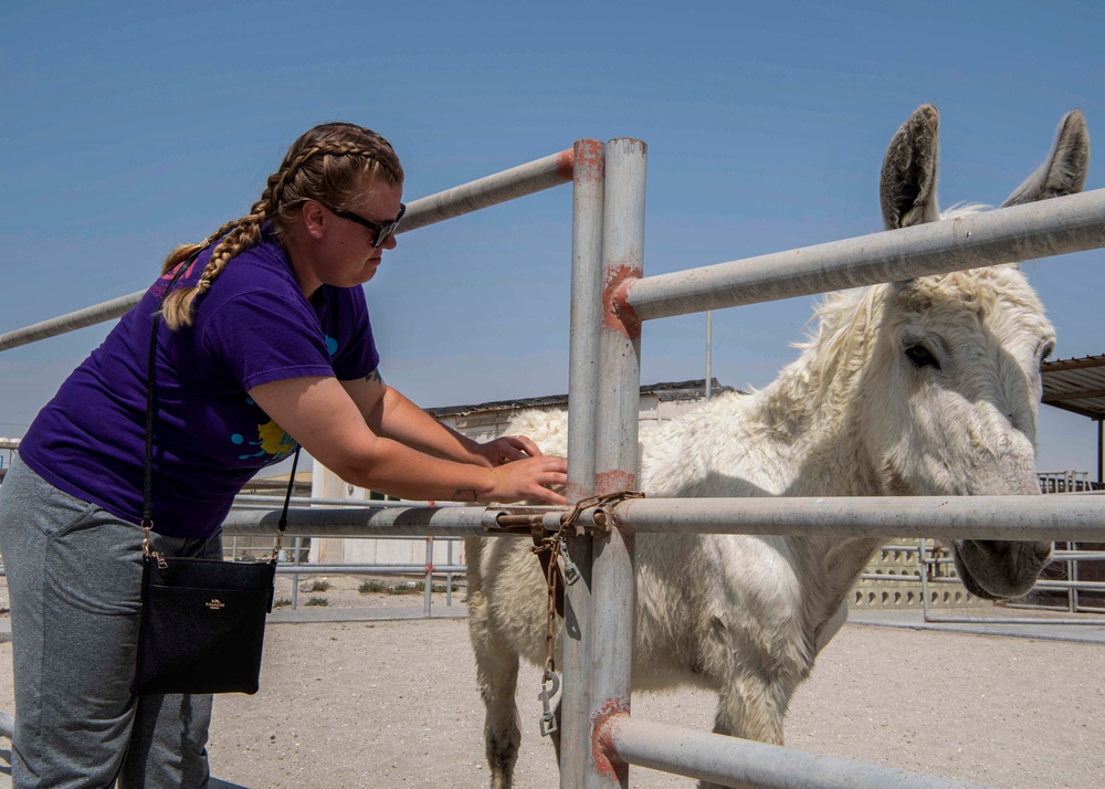 Gridley conducts a community relations event with the Bombay Society for the Prevention of Cruelty to Animals (BSPCA) Animal Welfare Center