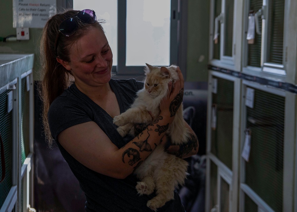 Gridley conducts a community relations event with the Bombay Society for the Prevention of Cruelty to Animals (BSPCA) Animal Welfare Center