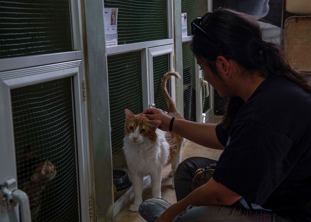 Gridley conducts a community relations event with the Bombay Society for the Prevention of Cruelty to Animals (BSPCA) Animal Welfare Center