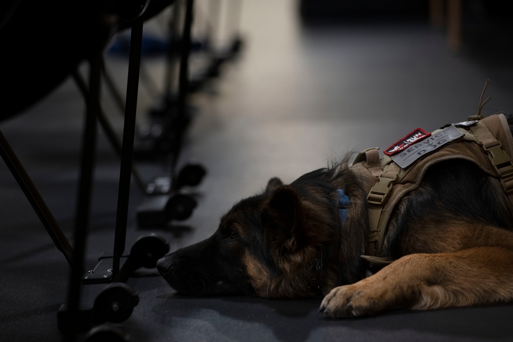 Invictus Games Team U.S. Training Camp