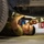 Vehicle Management Airmen work day and night to keep vehicles serviceable Vehicle Management Airmen work day and night to keep vehicles serviceable