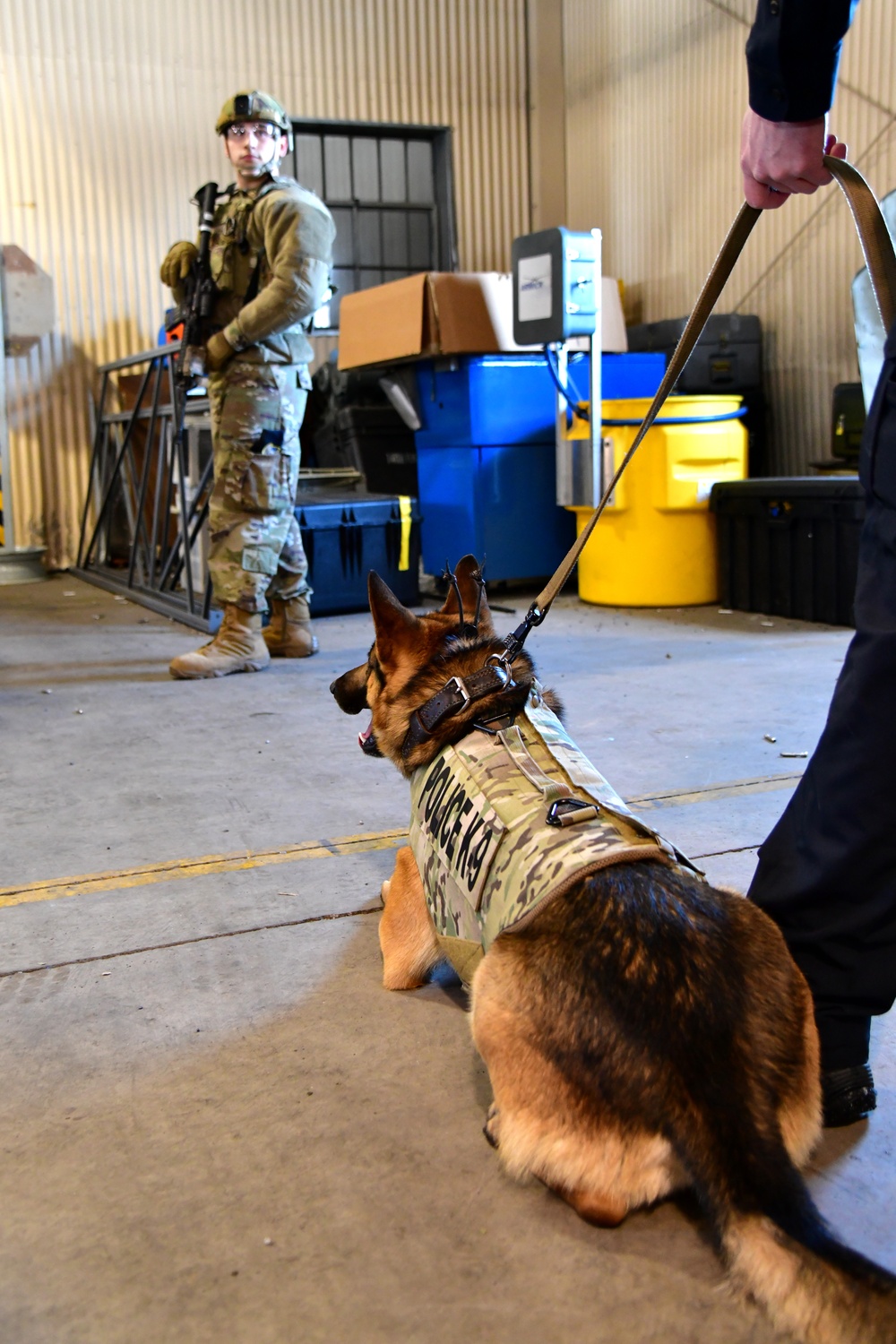 Security Forces and Local Police K9 Partners in Training