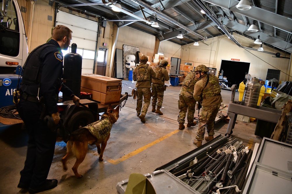 Security Forces and Local Police K9 Partners in Training