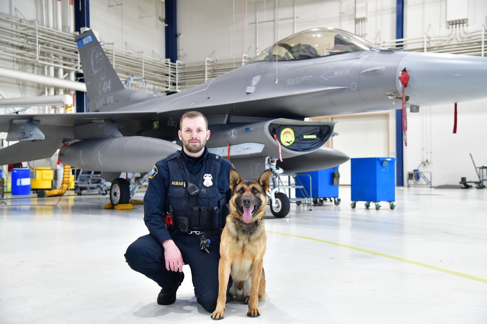 Security Forces and Local Police K9 Partners in Training