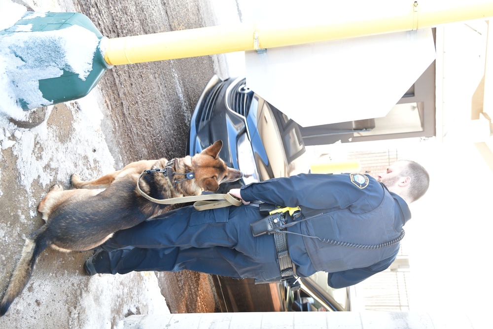 Security Forces and Local Police K9 Partners in Training