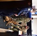 Security Forces and Local Police K9 Partners in Training