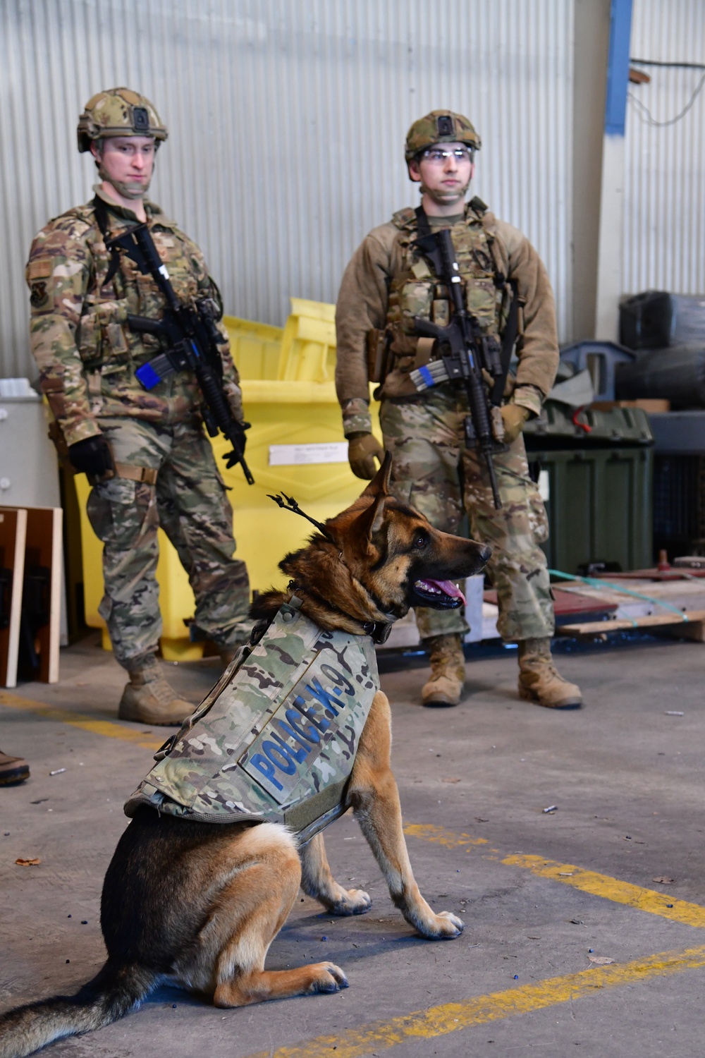 Security Forces and Local Police K9 Partners in Training