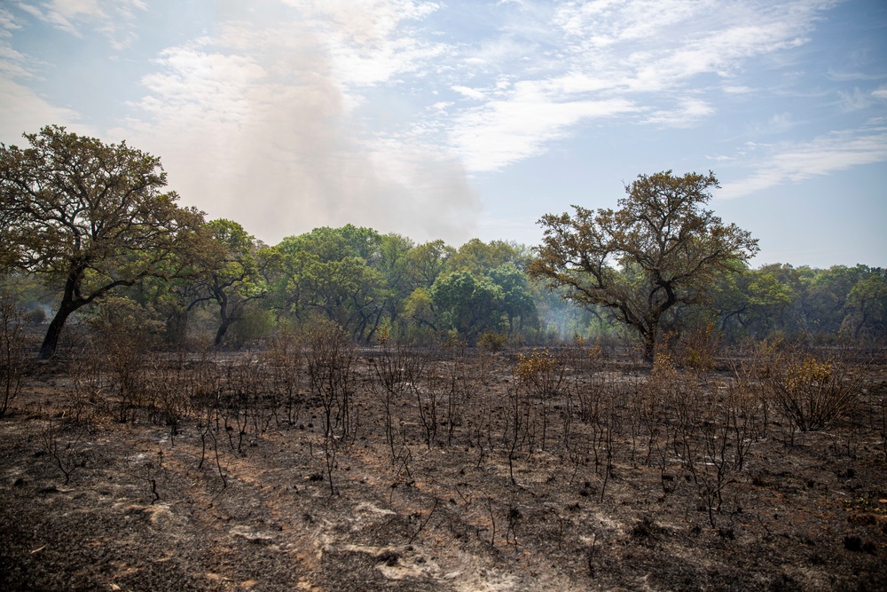 JBSA-Camp Bullis Fire