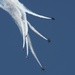 JBC Air Expo 2022: Day 2