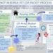 Eighth Army Command Sponsorship Process Infographic