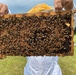 “Bee-ing” a good neighbor at Fort Drum Mountain Community Homes