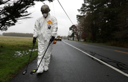 Prominent Hunt: Bethany Beach, DE