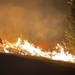 Wildfire at Joint Base San Antonio-Camp Bullis