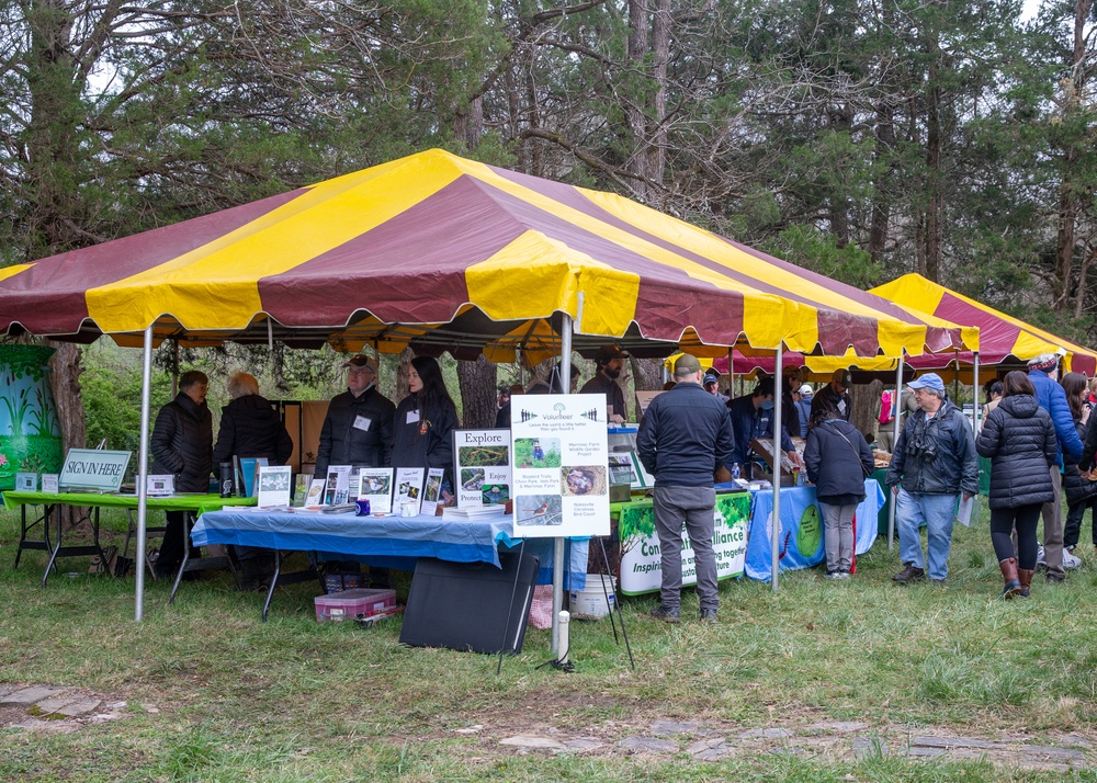 Annual Bluebell Festival