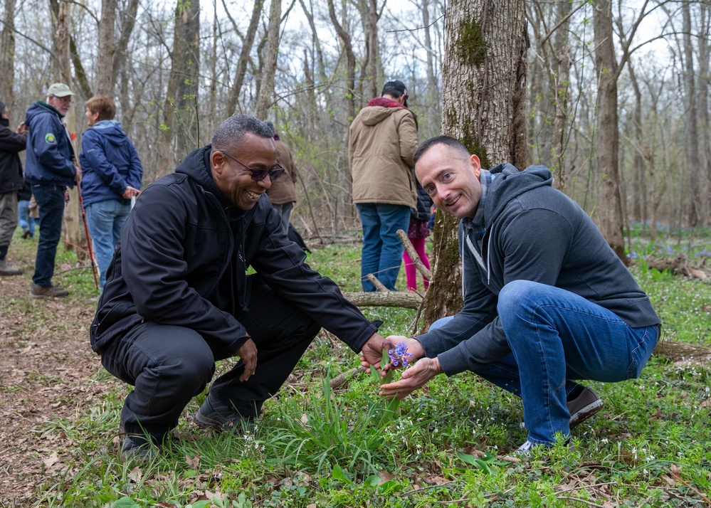 Annual Bluebell Festival