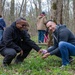 Annual Bluebell Festival