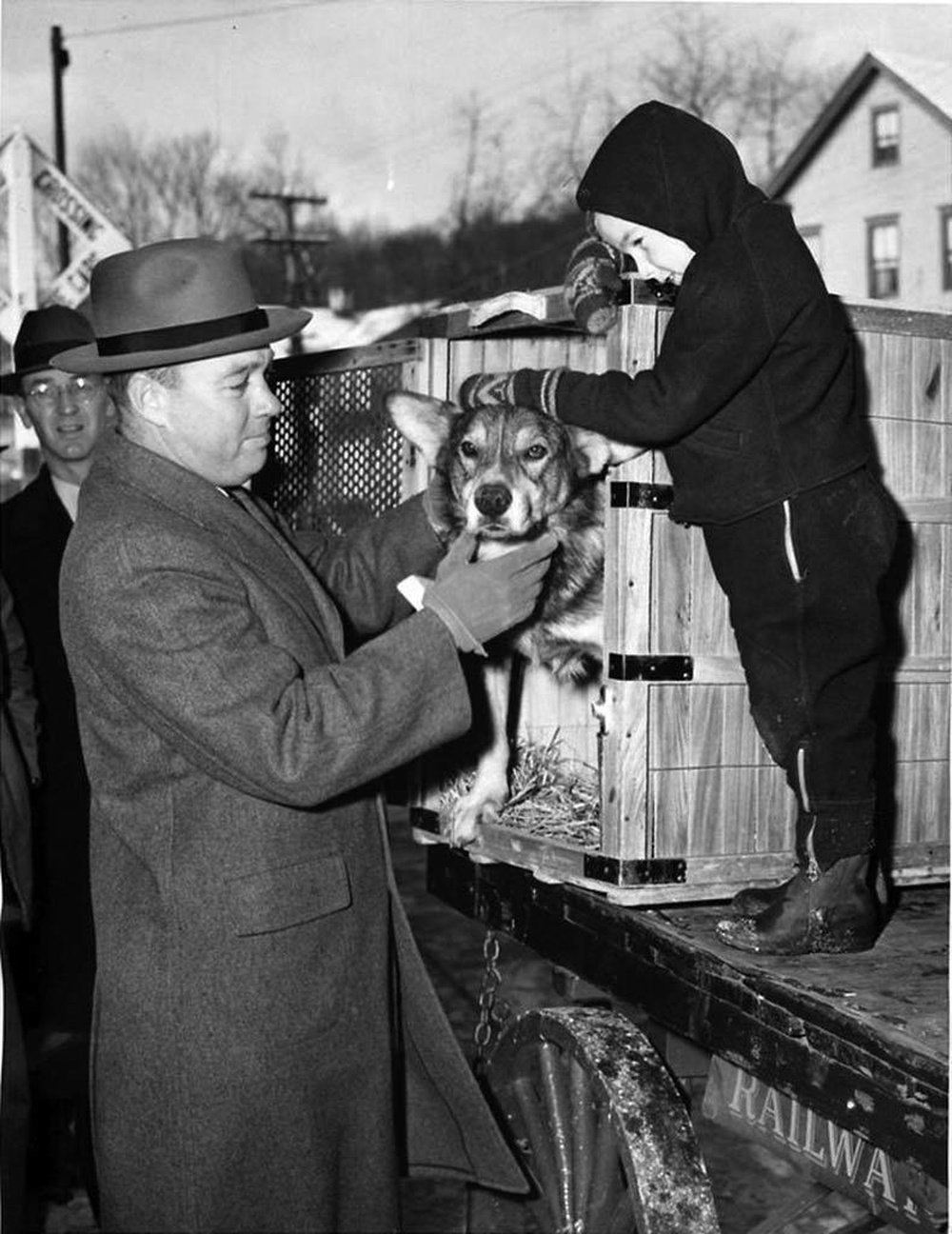 DVIDS - News - A Dog Faced Hero