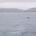 Makin Island Conducts ACV Ops with 3d Assault Amphibian Battalion, 1st Marine Division