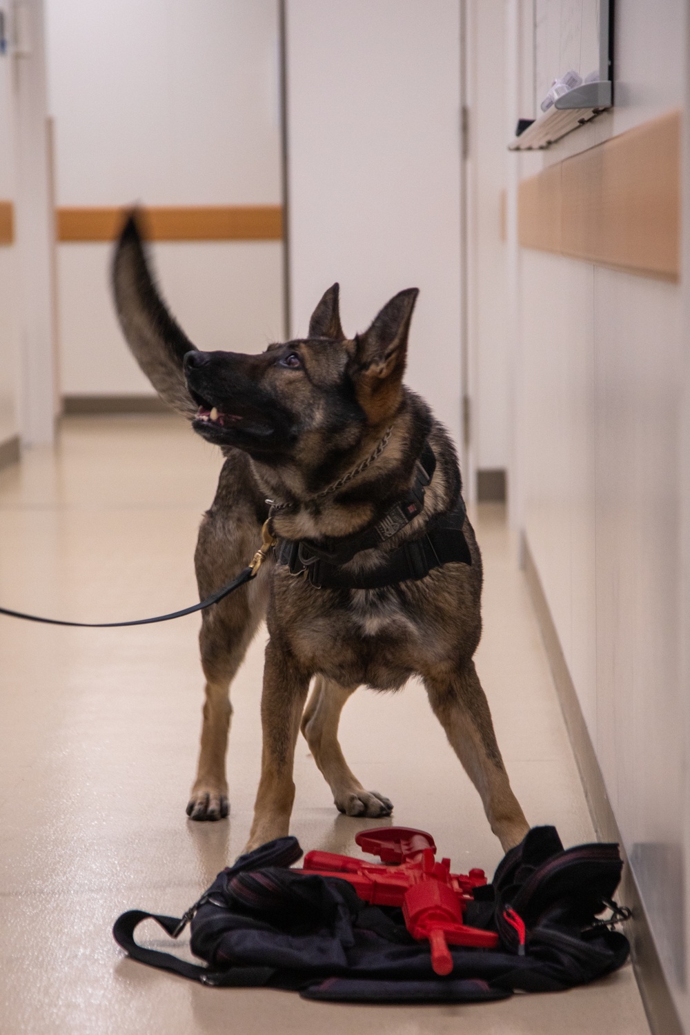 MCAS Iwakuni Marines conduct active shooter drill