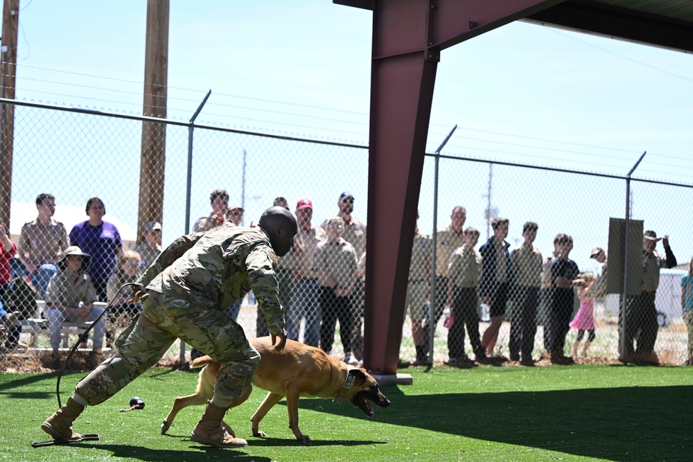 Scouts learn the ropes at Holloman