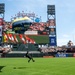 Leap Frogs Jump Into Oracle Park in San Francisco