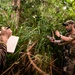 Welcome to the jungle: Special warfare Airmen acclimate to Indo-Pacific environment