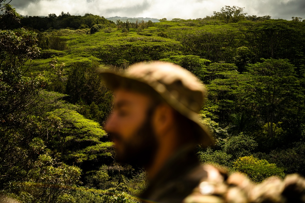 Welcome to the jungle: Special warfare Airmen acclimate to Indo-Pacific environment