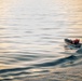 GRF Boat Operations