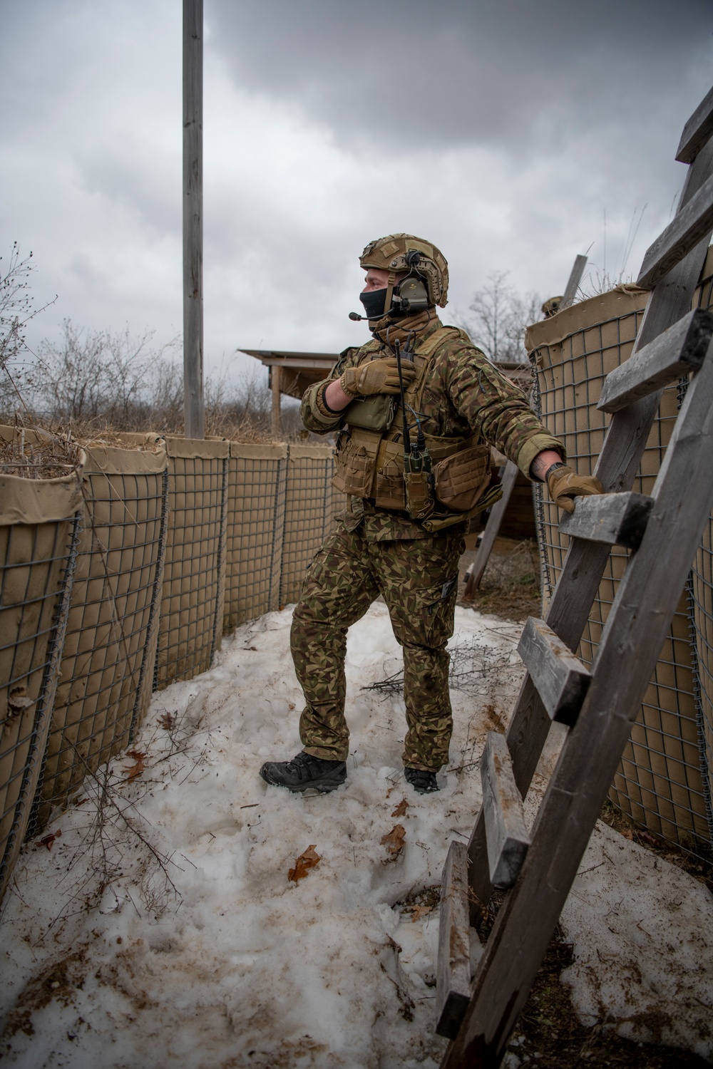 Latvian JTACS conduct close air support training at the NADWC