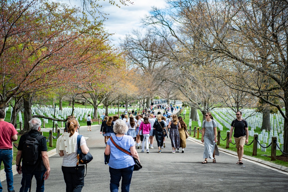 Spring at Arlington National Cemetery