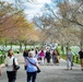 Spring at Arlington National Cemetery