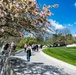 Spring at Arlington National Cemetery