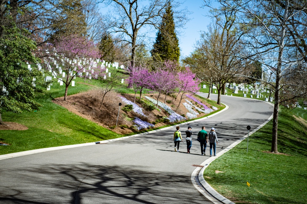 Spring at ANC