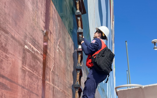 Coast Guard investigates grounded container ship