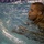 NY Soldiers Compete for Best Warrior Title
