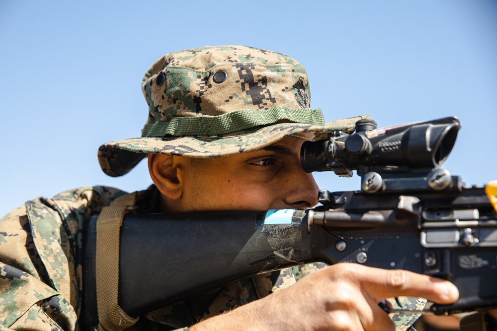 Kilo Company Grass Week