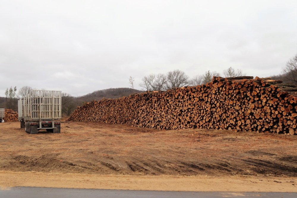 Fort McCoy timber sales, harvest help maintain post's forest lands