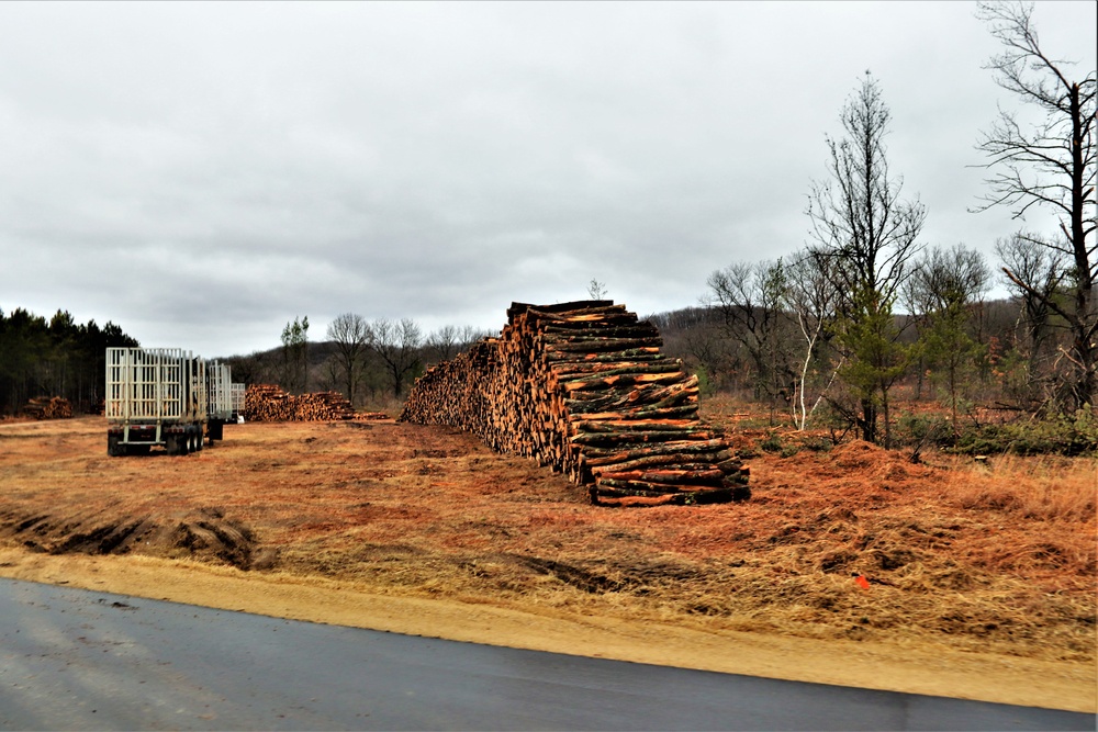 Fort McCoy timber sales, harvest help maintain post's forest lands