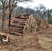 Fort McCoy timber sales, harvest help maintain post's forest lands