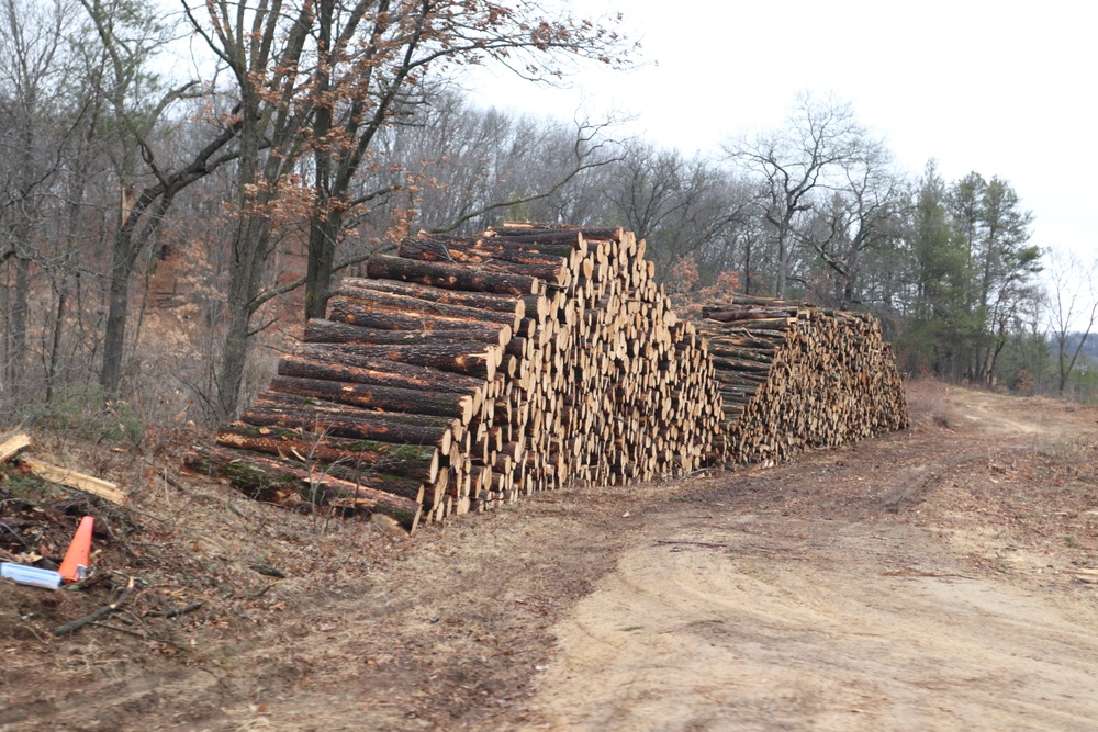 Fort McCoy timber sales, harvest help maintain post's forest lands