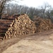 Fort McCoy timber sales, harvest help maintain post's forest lands