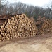 Fort McCoy timber sales, harvest help maintain post's forest lands