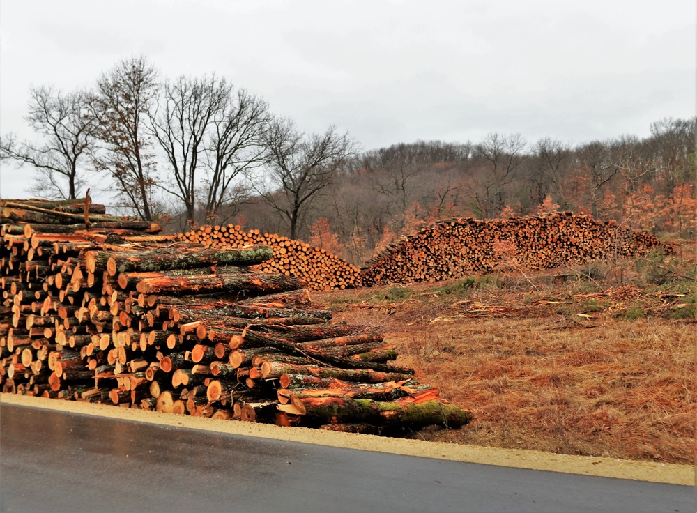 Fort McCoy timber sales, harvest help maintain post's forest lands