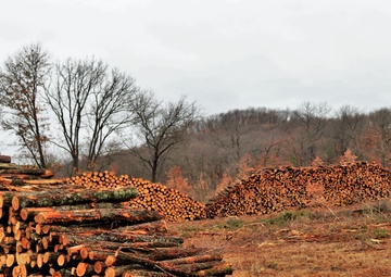 Fort McCoy timber sales, harvest help maintain post's forest lands