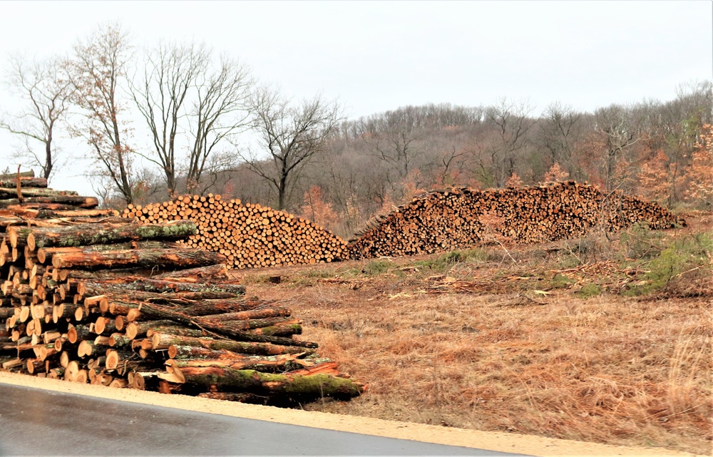 Fort McCoy timber sales, harvest help maintain post's forest lands